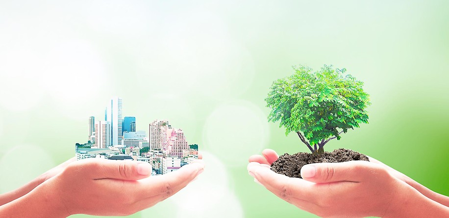 Nachhaltigkeit Stadt Baum