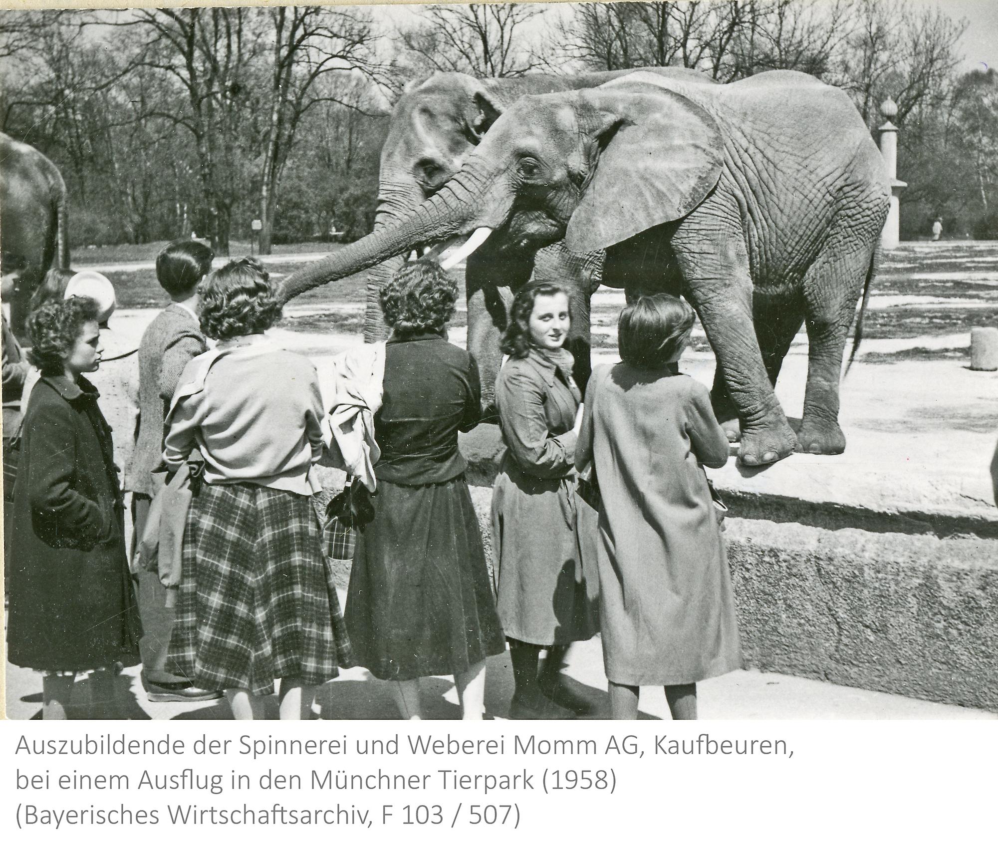 Auszubildende der Spinnerei und Weberei Momm AG, Kaufbeuren, bei einem Ausflug in den Tierpark Hellabrunn, 1958