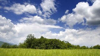 image alt text