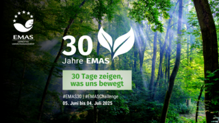 image alt text